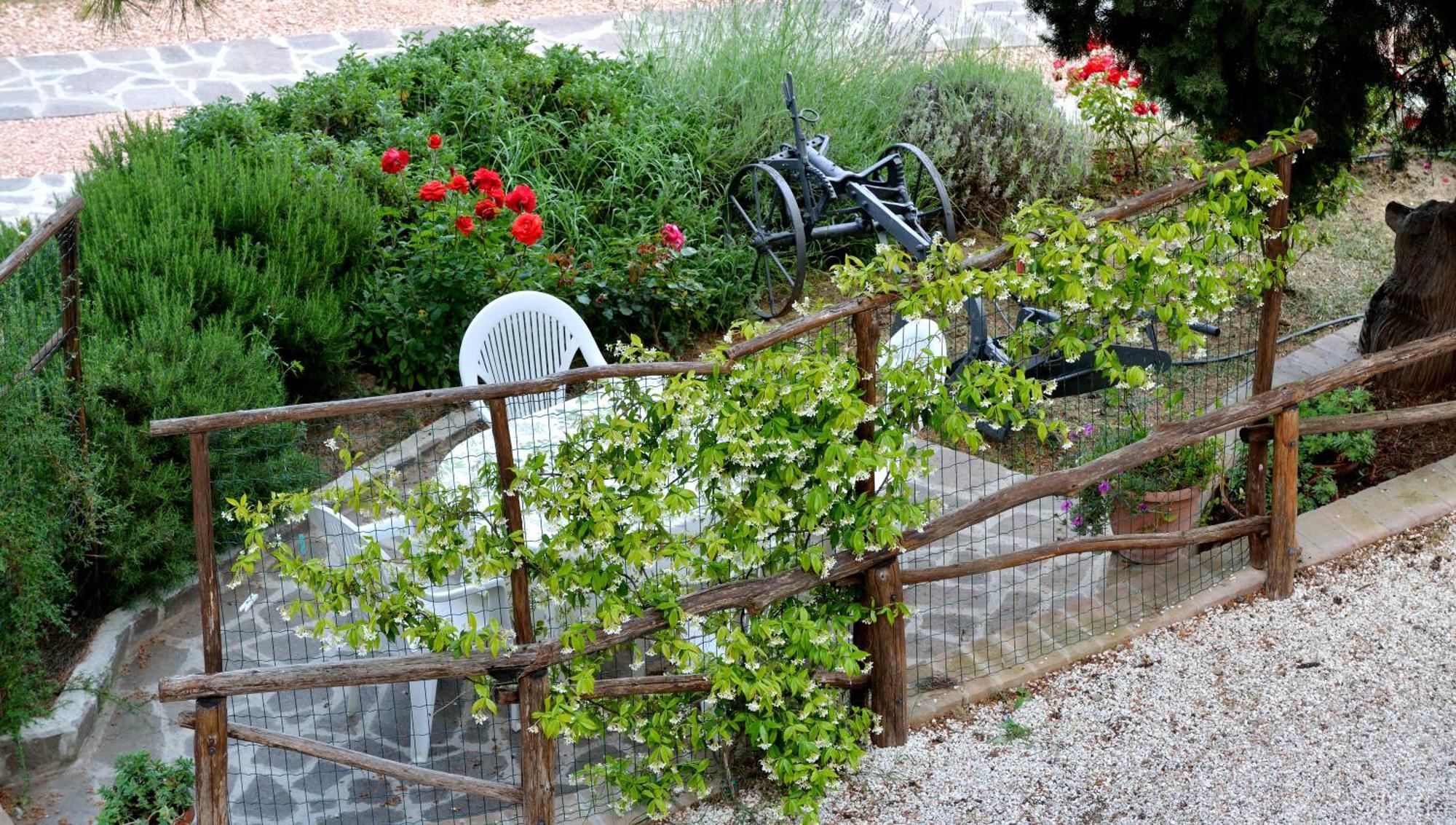 Agriturismo San Severo ปัสซีญาโน ซุล ตราซีเมโน ห้อง รูปภาพ