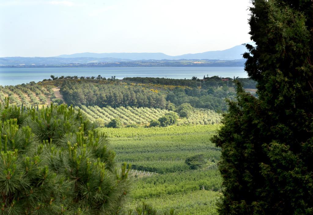 Agriturismo San Severo ปัสซีญาโน ซุล ตราซีเมโน ภายนอก รูปภาพ